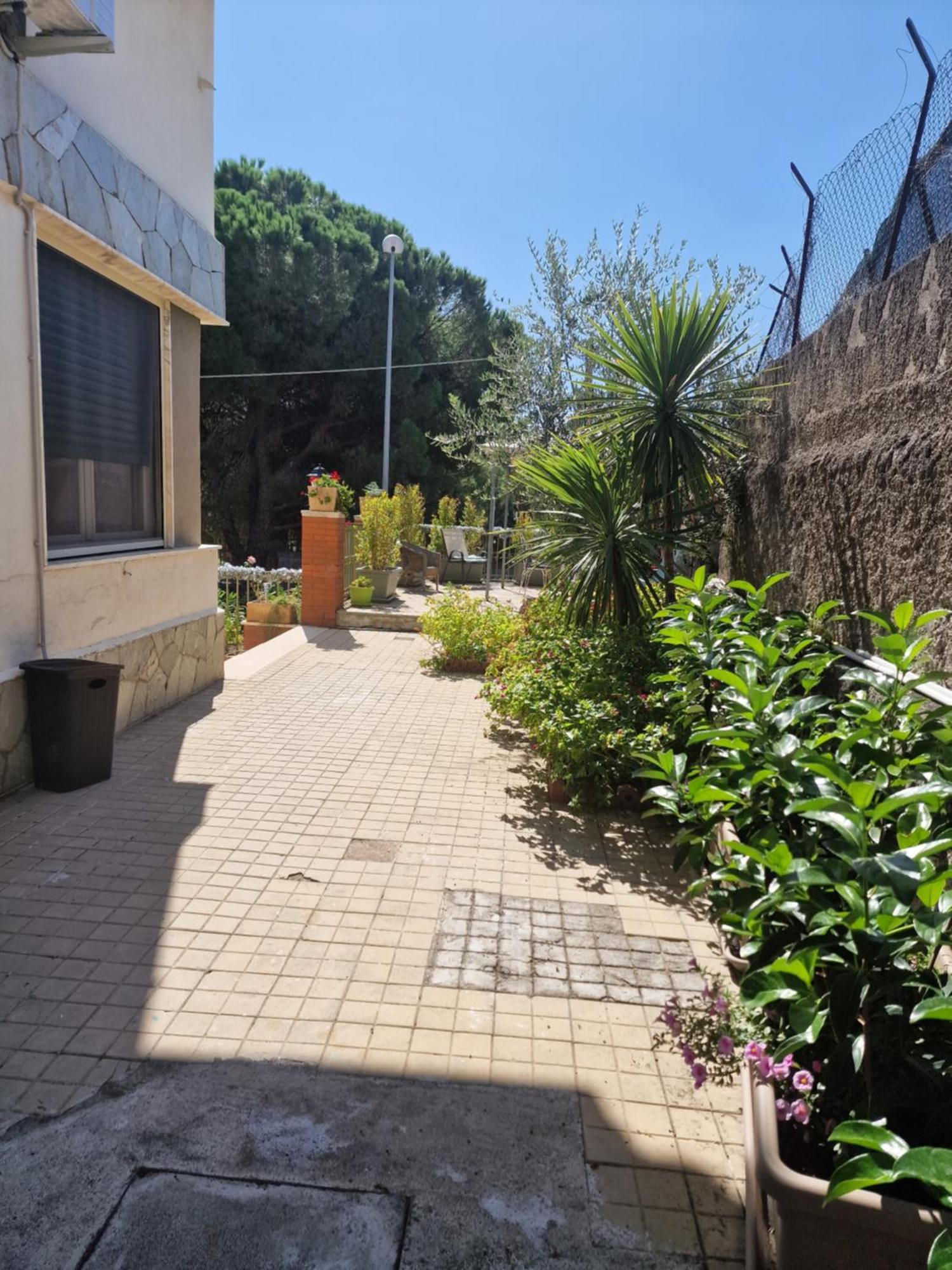Althea Etna Garden Bed & Breakfast Nicolosi Bagian luar foto
